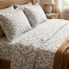 Buy Premium Minimalist Trailing Vine Cotton Bedsheet Set | AiyaanBD