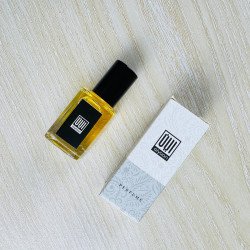 Dr. Gentleman Attar – 6ml Alcohol-Free Masculine Oil Perfume | AiyaanBD