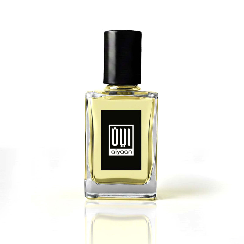 Dr. Gentleman Attar – 6ml Alcohol-Free Masculine Oil Perfume | AiyaanBD