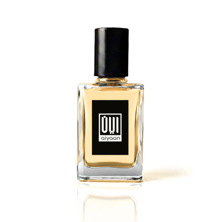 Choco Blast Attar - 12ml Long Lasting Unisex Perfume Oil | AiyaanBD