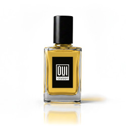 Ameer Al Oudh Attar – Warm Oriental Woody Fragrance | Aiyaan