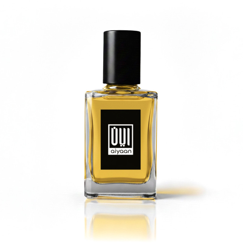 Ameer Al Oudh Attar – Warm Oriental Woody Fragrance | Aiyaan